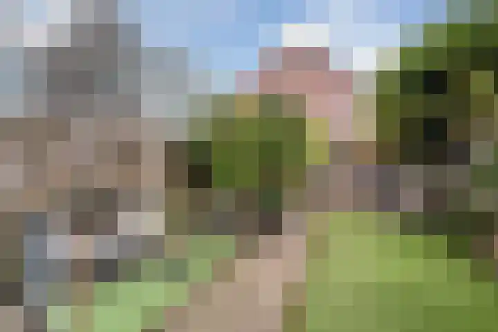 Donizettirode 11 Zoetermeer thumbnail 19
