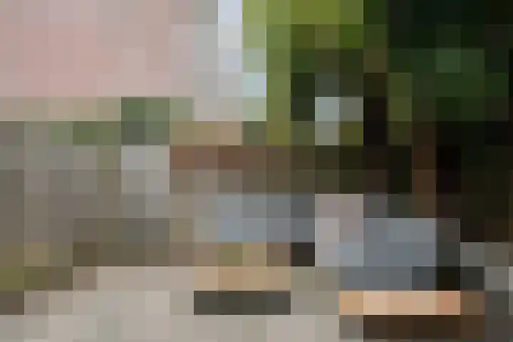 Donizettirode 11 Zoetermeer thumbnail 20