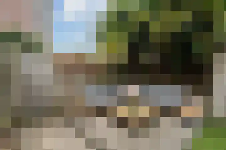 Donizettirode 11 Zoetermeer thumbnail 21