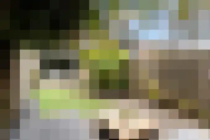 Donizettirode 11 Zoetermeer thumbnail 23