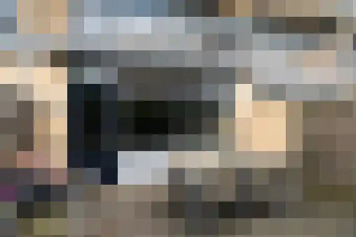 Donizettirode 11 Zoetermeer thumbnail 24