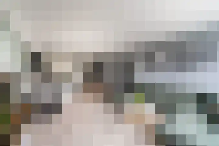 Donizettirode 11 Zoetermeer thumbnail 25
