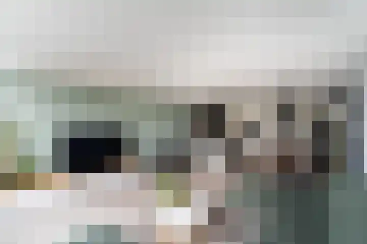 Donizettirode 11 Zoetermeer thumbnail 26