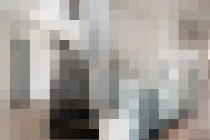 Donizettirode 11 Zoetermeer thumbnail 28