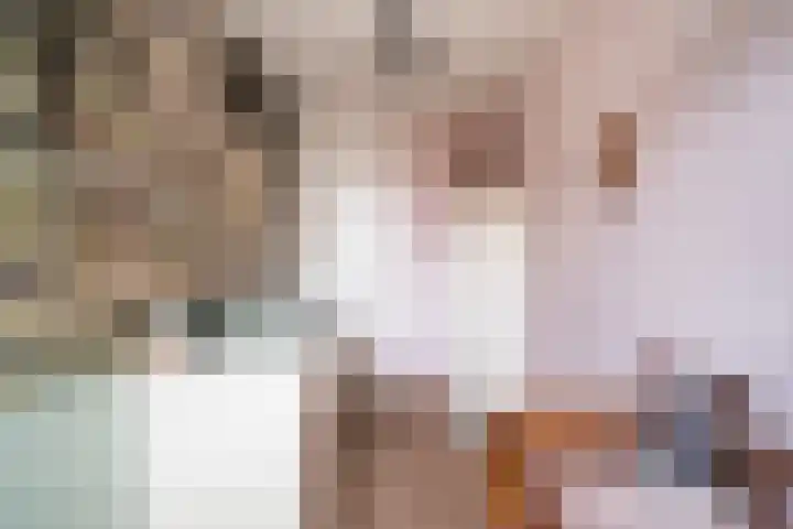 Donizettirode 11 Zoetermeer thumbnail 31
