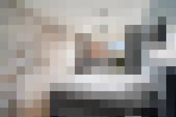 Donizettirode 11 Zoetermeer thumbnail 33