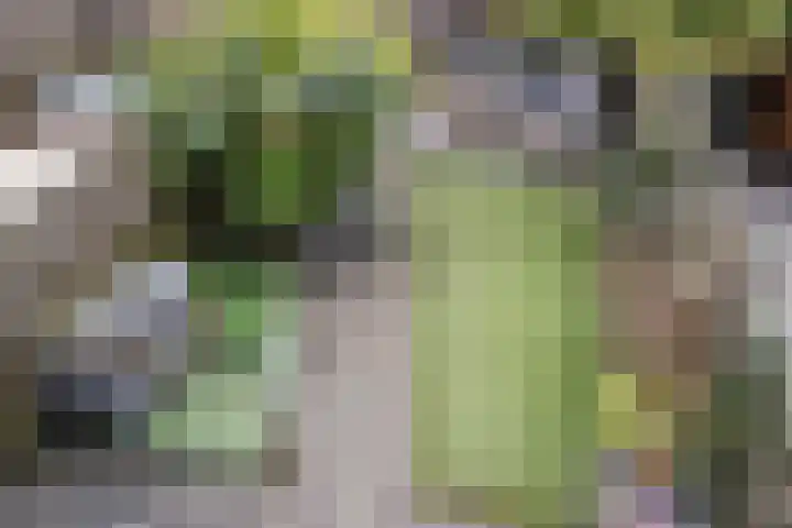 Donizettirode 11 Zoetermeer thumbnail 35