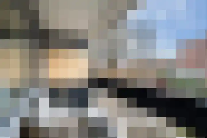 Donizettirode 11 Zoetermeer thumbnail 36