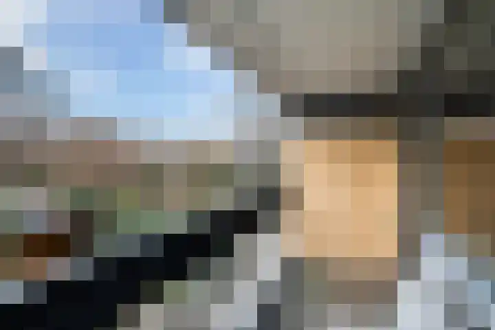 Donizettirode 11 Zoetermeer thumbnail 37