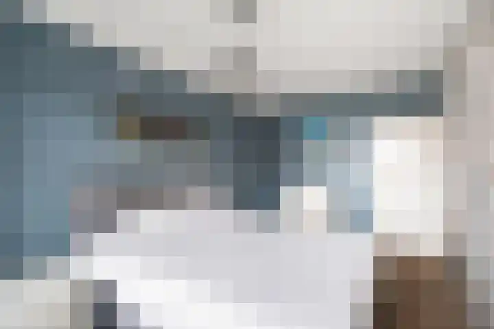 Donizettirode 11 Zoetermeer thumbnail 38
