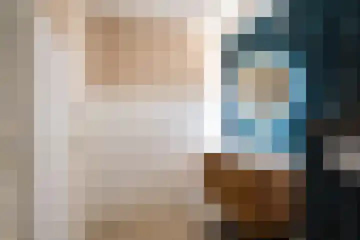 Donizettirode 11 Zoetermeer thumbnail 39