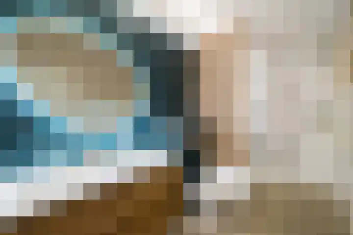Donizettirode 11 Zoetermeer thumbnail 40