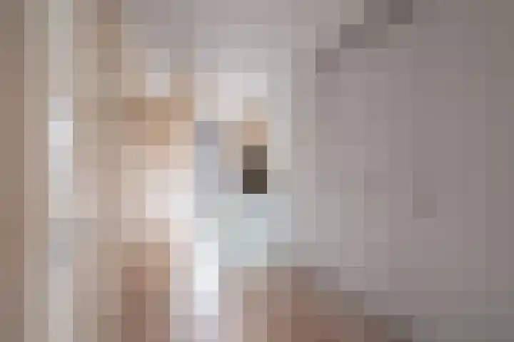 Donizettirode 11 Zoetermeer thumbnail 42