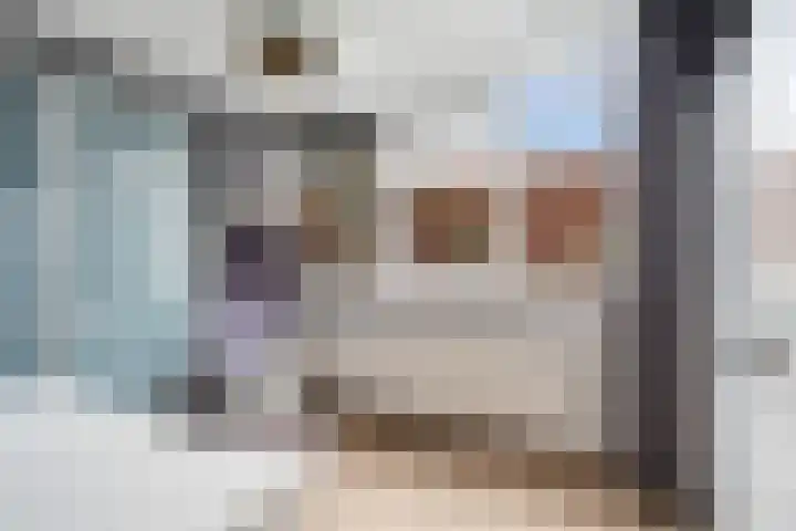 Donizettirode 11 Zoetermeer thumbnail 43