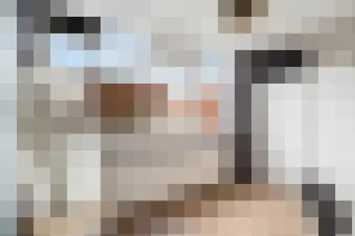 Donizettirode 11 Zoetermeer thumbnail 44
