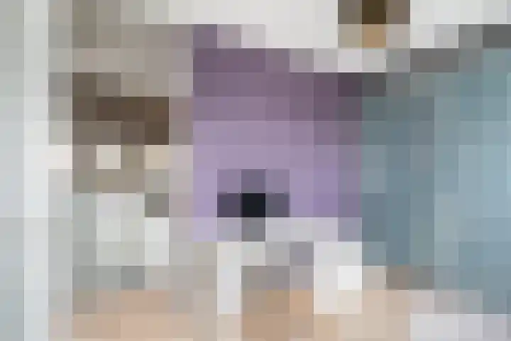 Donizettirode 11 Zoetermeer thumbnail 45