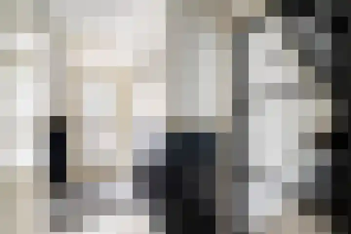 Donizettirode 11 Zoetermeer thumbnail 46