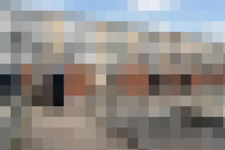 Donizettirode 11 Zoetermeer thumbnail 48