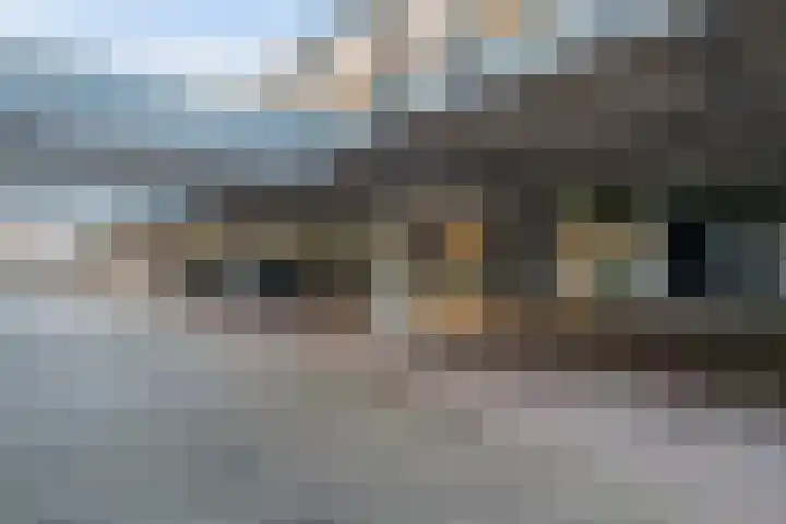 Donizettirode 11 Zoetermeer thumbnail 5