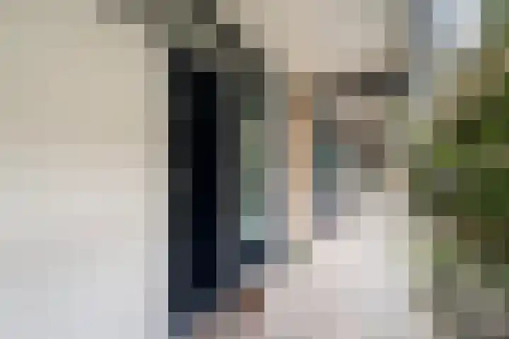 Donizettirode 11 Zoetermeer thumbnail 6