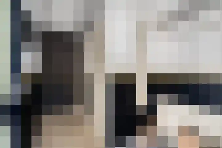 Donizettirode 11 Zoetermeer thumbnail 7