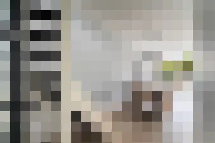 Donizettirode 11 Zoetermeer thumbnail 8