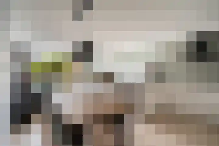 Donizettirode 11 Zoetermeer thumbnail 9