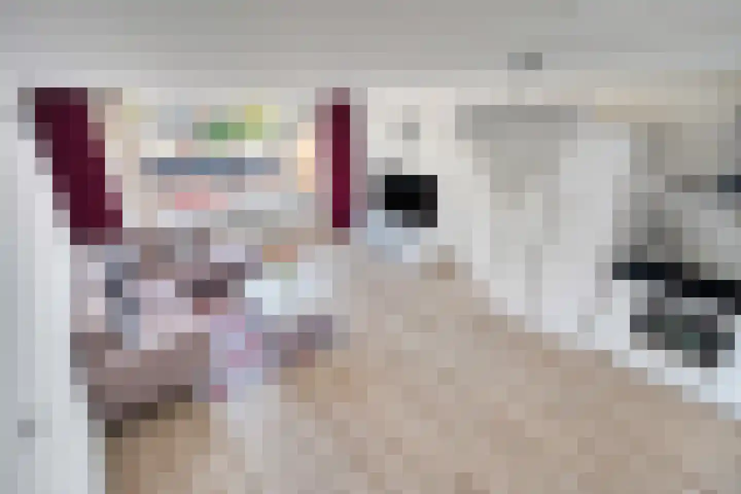 Donizettirode 18 Zoetermeer thumbnail 13
