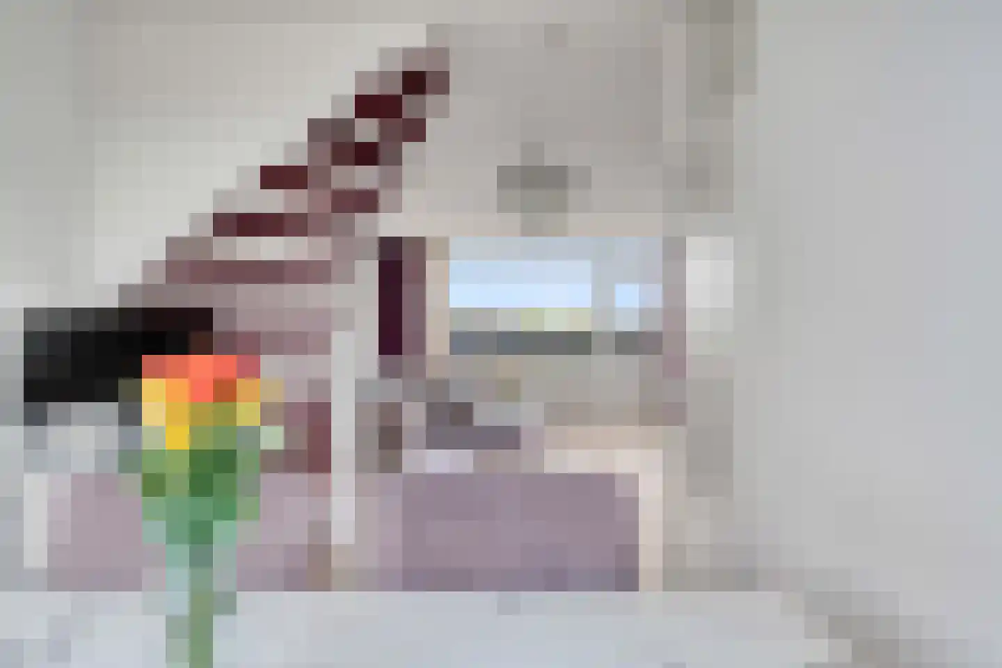 Donizettirode 18 Zoetermeer thumbnail 17