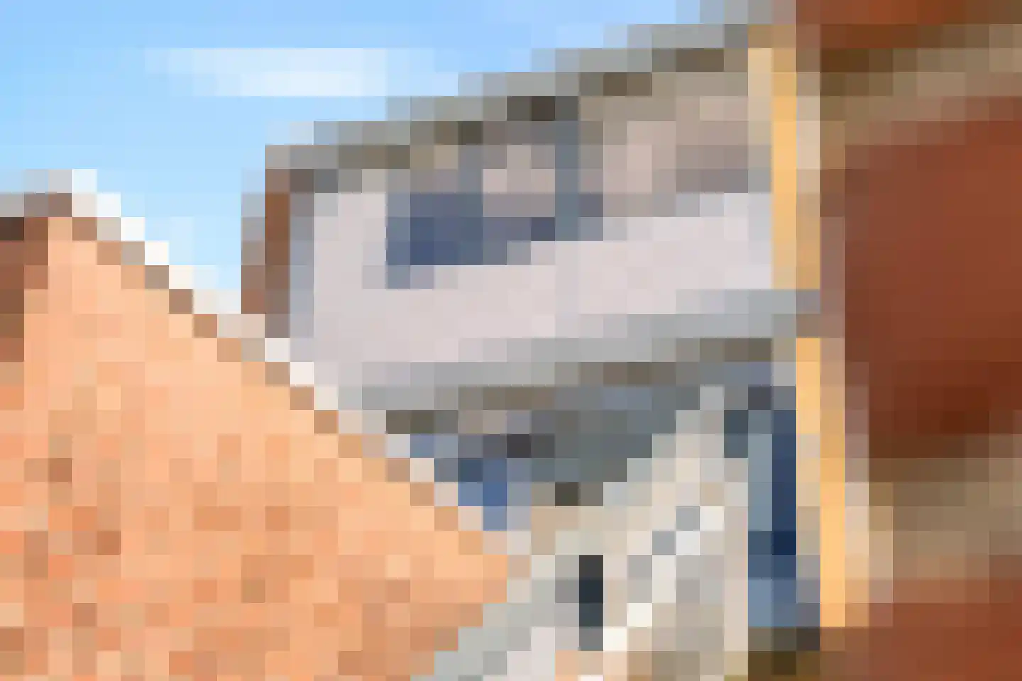 Donizettirode 18 Zoetermeer thumbnail 38