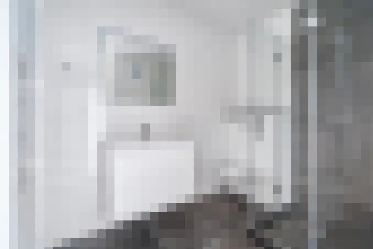 Donizettirode 18 Zoetermeer thumbnail 4