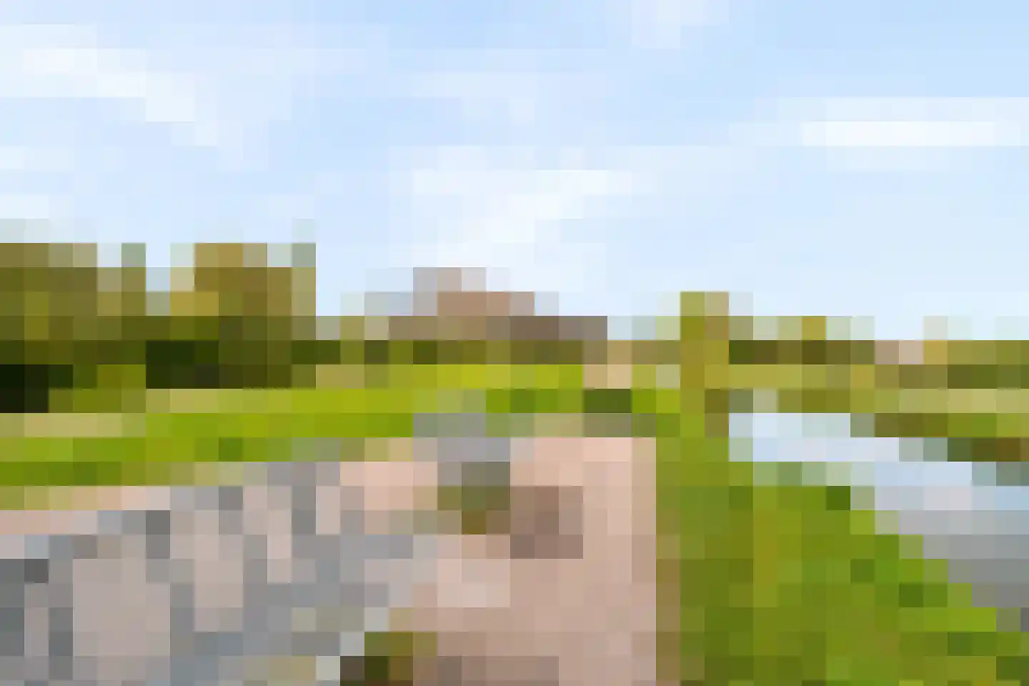 Donizettirode 18 Zoetermeer thumbnail 44