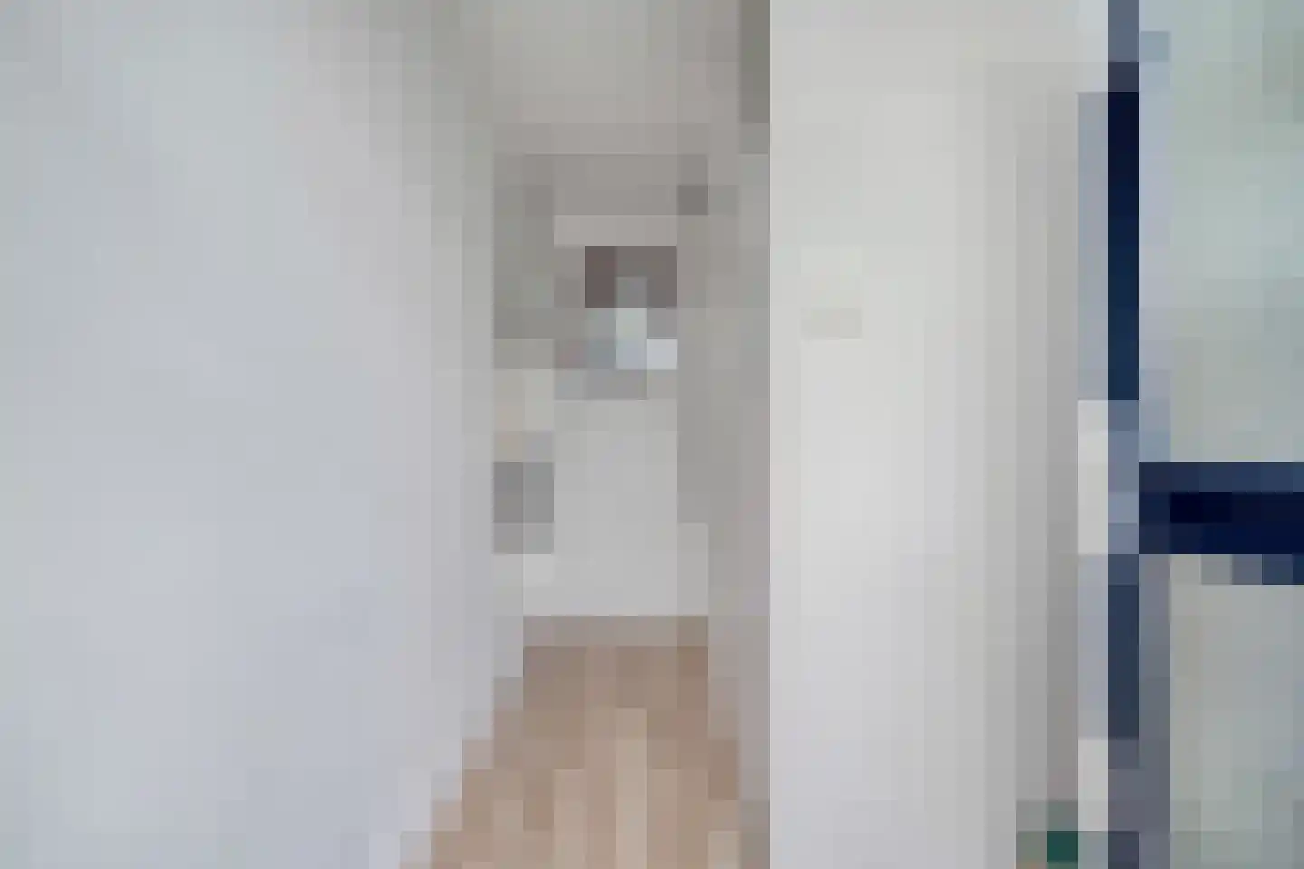 Donizettirode 18 Zoetermeer thumbnail 7