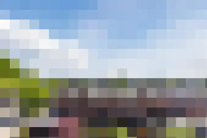 Donizettirode 20 Zoetermeer thumbnail 13
