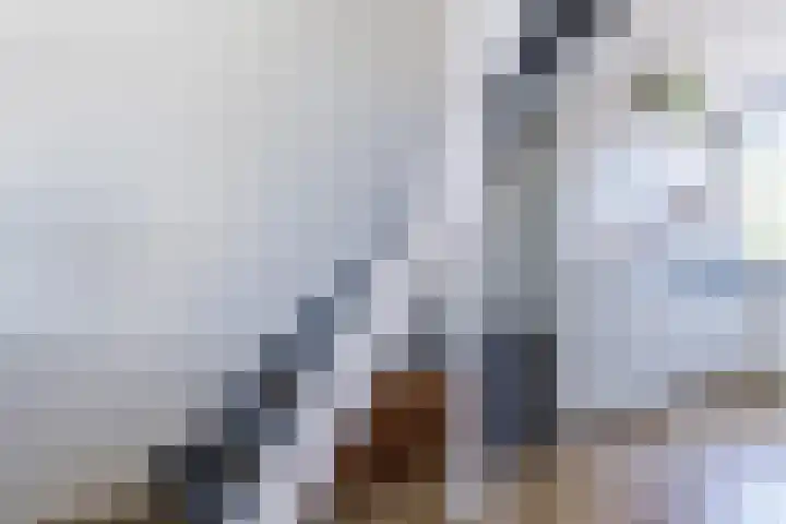 Donizettirode 20 Zoetermeer thumbnail 14