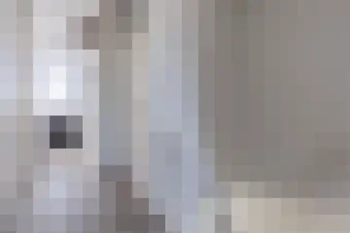 Donizettirode 20 Zoetermeer thumbnail 15