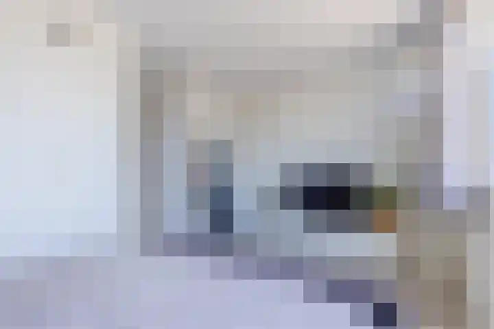 Donizettirode 20 Zoetermeer thumbnail 17