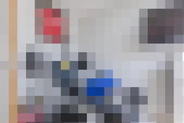 Donizettirode 20 Zoetermeer thumbnail 19