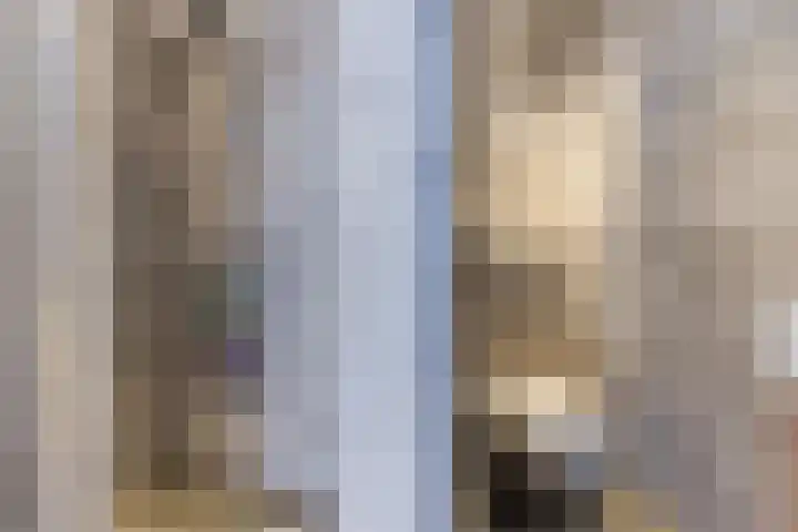 Donizettirode 20 Zoetermeer thumbnail 22
