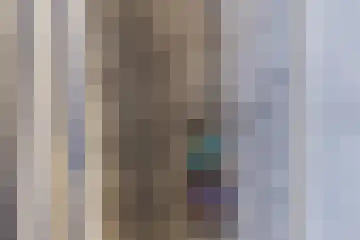 Donizettirode 20 Zoetermeer thumbnail 23