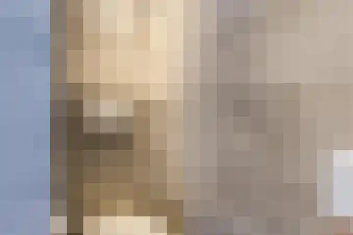 Donizettirode 20 Zoetermeer thumbnail 24