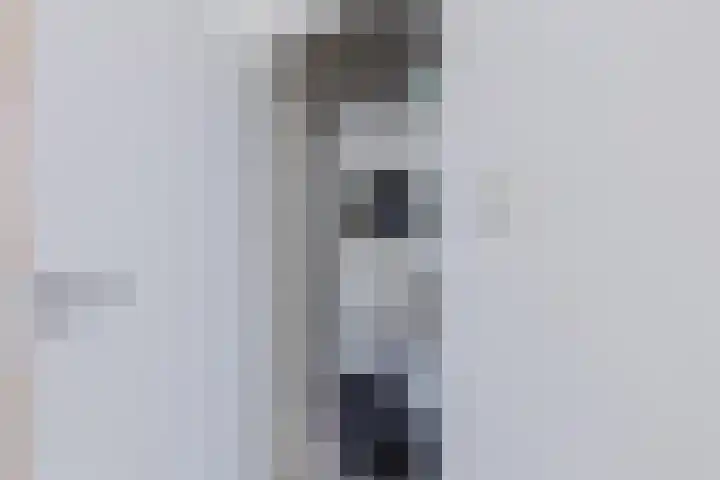 Donizettirode 20 Zoetermeer thumbnail 25