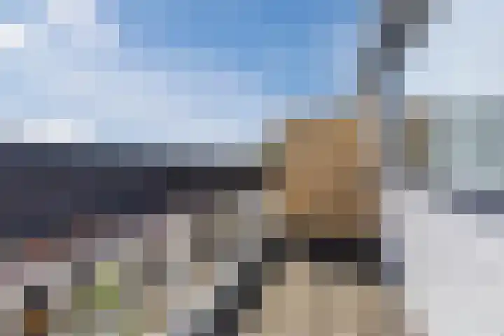 Donizettirode 20 Zoetermeer thumbnail 26