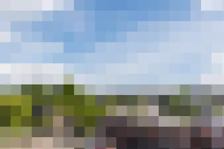 Donizettirode 20 Zoetermeer thumbnail 28