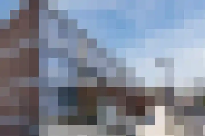 Donizettirode 20 Zoetermeer thumbnail 30
