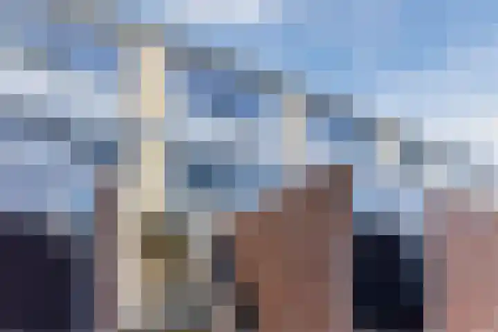 Donizettirode 20 Zoetermeer thumbnail 31