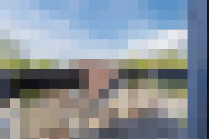 Donizettirode 20 Zoetermeer thumbnail 34