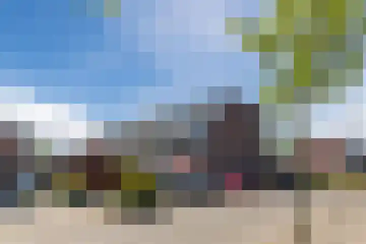 Donizettirode 20 Zoetermeer thumbnail 35
