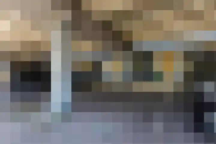 Donizettirode 20 Zoetermeer thumbnail 36