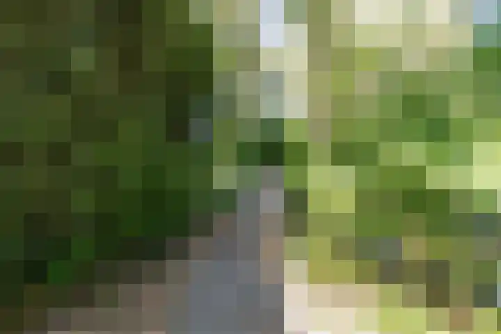 Donizettirode 20 Zoetermeer thumbnail 38